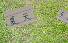 申花領(lǐng)先6分，國(guó)安續(xù)約烏，夏窗靜待。
