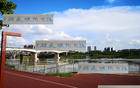 中超頭號難防前鋒，青島外援勝出，非海港萊納多，乃申花米內(nèi)羅。