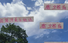 張玉寧高天意，國安申花精英；留洋進(jìn)國家隊，實力非凡。