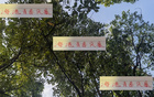 海港青春風(fēng)暴，李新翔領(lǐng)銜，大連賽進(jìn)球助攻亮眼！