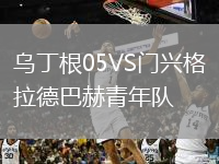 烏丁根05VS門興格拉德巴赫青年隊