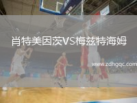 肖特美因茨VS梅茲特海姆