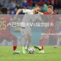 盧巴爾圖夫VS塔爾努夫