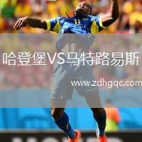 哈登堡VS馬特路易斯