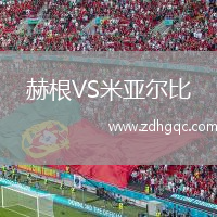 赫根VS米亞爾比