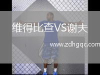 維得比查VS謝夫