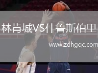 林肯城VS什魯斯伯里