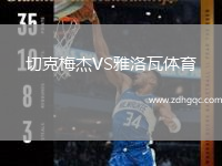切克梅杰VS雅洛瓦體育