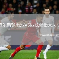 查爾斯頓電池VS匹茲堡獵犬河隊(duì)