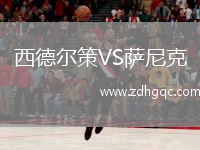 西德爾策VS薩尼克