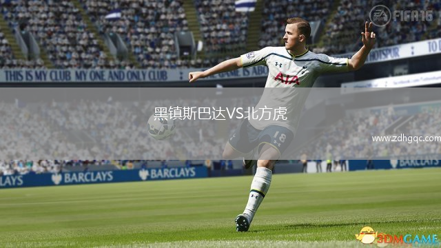 黑鎮(zhèn)斯巴達VS北方虎