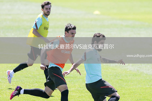 特拉維夫夏普爾VS迪克瓦夏普爾