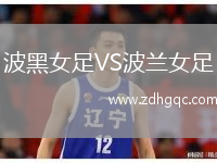波黑女足VS波蘭女足