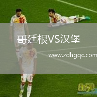 哥廷根VS漢堡
