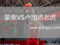 蒙泰VS盧加諾老虎