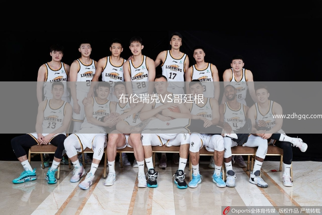 布倫瑞克VS哥廷根