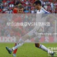 華爾迪維亞VS科洛科洛