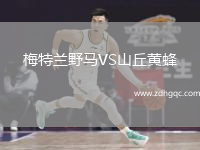 梅特蘭野馬VS山丘黃蜂