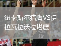 紐卡斯?fàn)柅C鷹VS伊拉瓦拉沃拉塔鷹