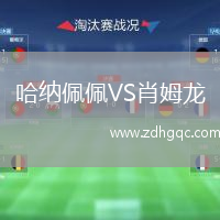 哈納佩佩VS肖姆龍