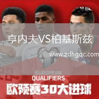亨內(nèi)夫VS柏基斯茲