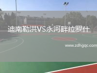 迪南勒洪VS永河畔拉羅什