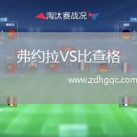 弗約拉VS比查格