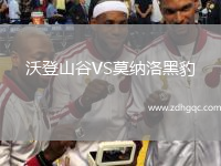 沃登山谷VS莫納洛黑豹