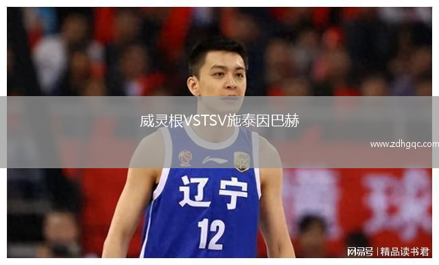 威靈根VSTSV施泰因巴赫