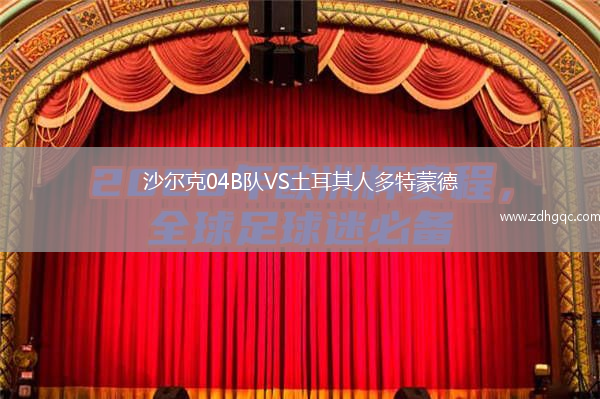 沙爾克04B隊(duì)VS土耳其人多特蒙德