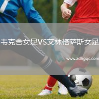 韋克舍女足VS艾林格薩斯女足