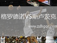 格羅德諾VS斯盧茨克