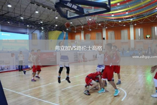 弗立加VS路倫士高格