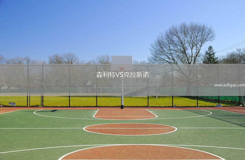 森利特VS克拉斯諾