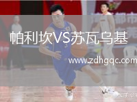 帕利坎VS蘇瓦烏基