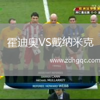 霍迪奧VS戴納米克