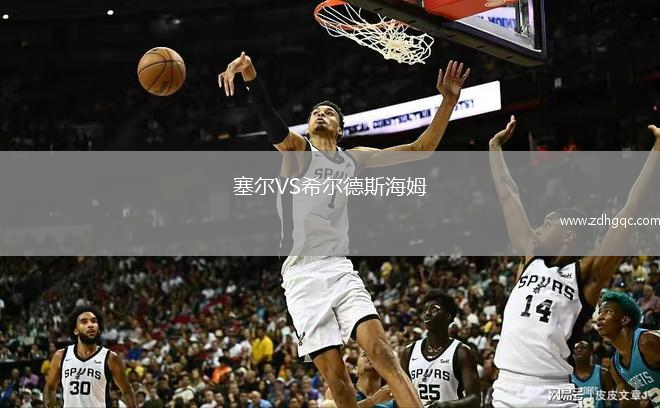 塞爾VS希爾德斯海姆