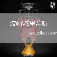 波帕VS里普斯
