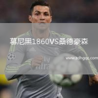 慕尼黑1860VS桑德豪森