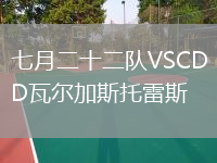 七月二十二隊(duì)VSCD瓦爾加斯托雷斯