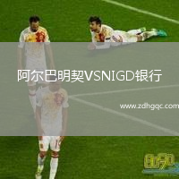 阿爾巴明契VSNIGD銀行