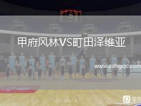甲府風(fēng)林VS町田澤維亞