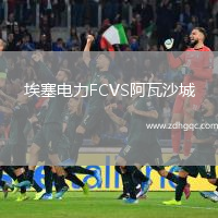 埃塞電力FCVS阿瓦沙城