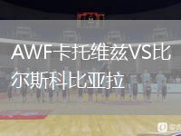 AWF卡托維茲VS比爾斯科比亞拉