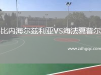 比內海爾茲利亞VS海法夏普爾