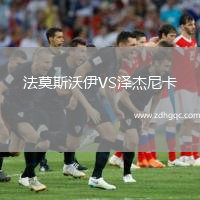 法莫斯沃伊VS澤杰尼卡