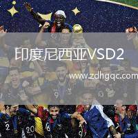 印度尼西亞VSD2