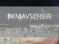BKMAVS舒拉克
