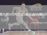 莫托勒VS布杰約維采迪納摩B隊