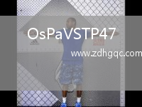 OsPaVSTP47